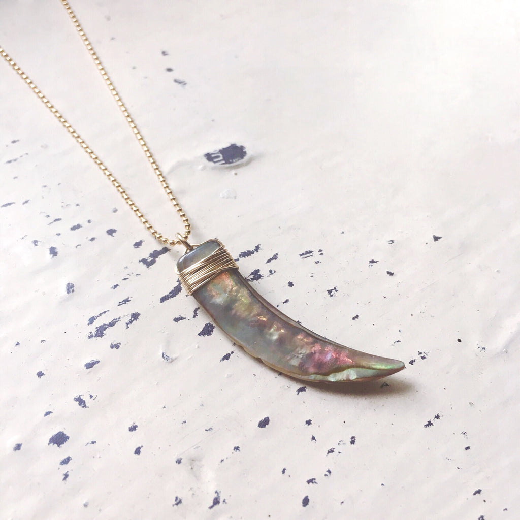 Abalone Horn Necklace